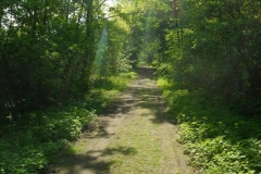 Altrhein_4