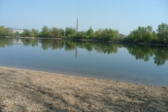 Altrhein_5