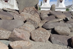 20190805_079_Thiksey_Monastery