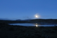 Vollmond am Lake Alice