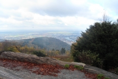 Blick_vom Koenigsstuhl nach Heidelberg