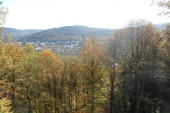 Neckarschleife_Neckargemünd