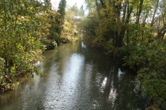 Neckarsteig_Elsenz