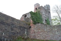 Neckarsteig_Veste_Dilsberg