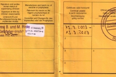 Teil_1_Gelbfieber 001