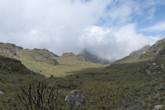 Rwenzori_ 0618_r