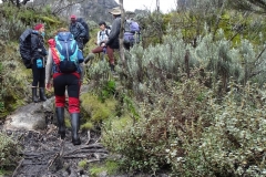 Rwenzori_0537_r