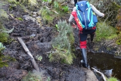 Rwenzori_0538_r
