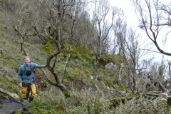 Rwenzori_0548_r