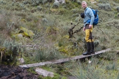 Rwenzori_0557_r