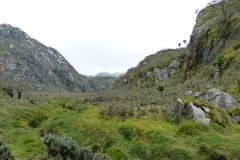 Rwenzori_0559_r
