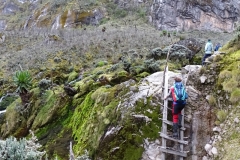 Rwenzori_0566_r