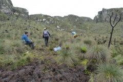 Rwenzori_0590_r