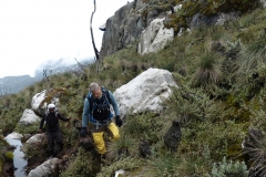 Rwenzori_0603_r
