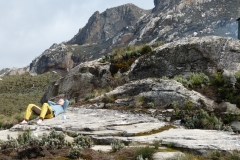 Rwenzori_0635_r