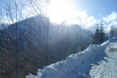 Feilalm_03