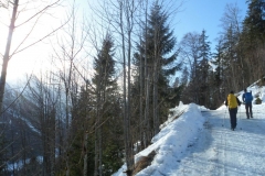 Feilalm_05