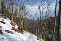 Feilalm_06