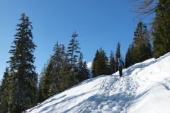 Hochplatte_27