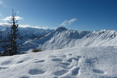Hochplatte_39