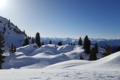 Rofanspitze_16