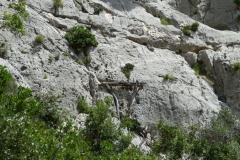 Hirtenleiter_07