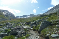 SAM_6921_r