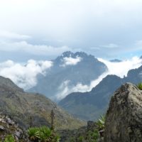 Rwenzori, Margherita Peak, Blick vom Bamwanjarapass